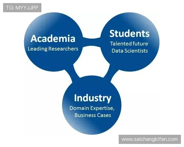 玩球波胆大小球结合避坑指南极速提现技巧